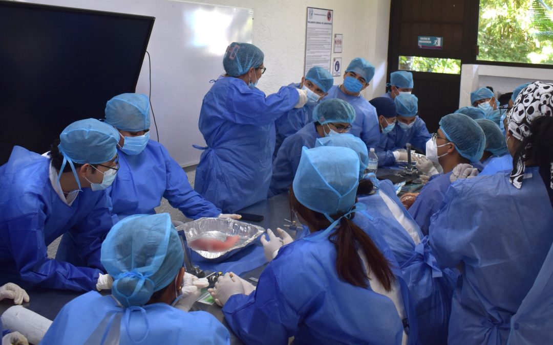 Estudiantes de Medicina hacen práctica sobre anatomía cardíaca