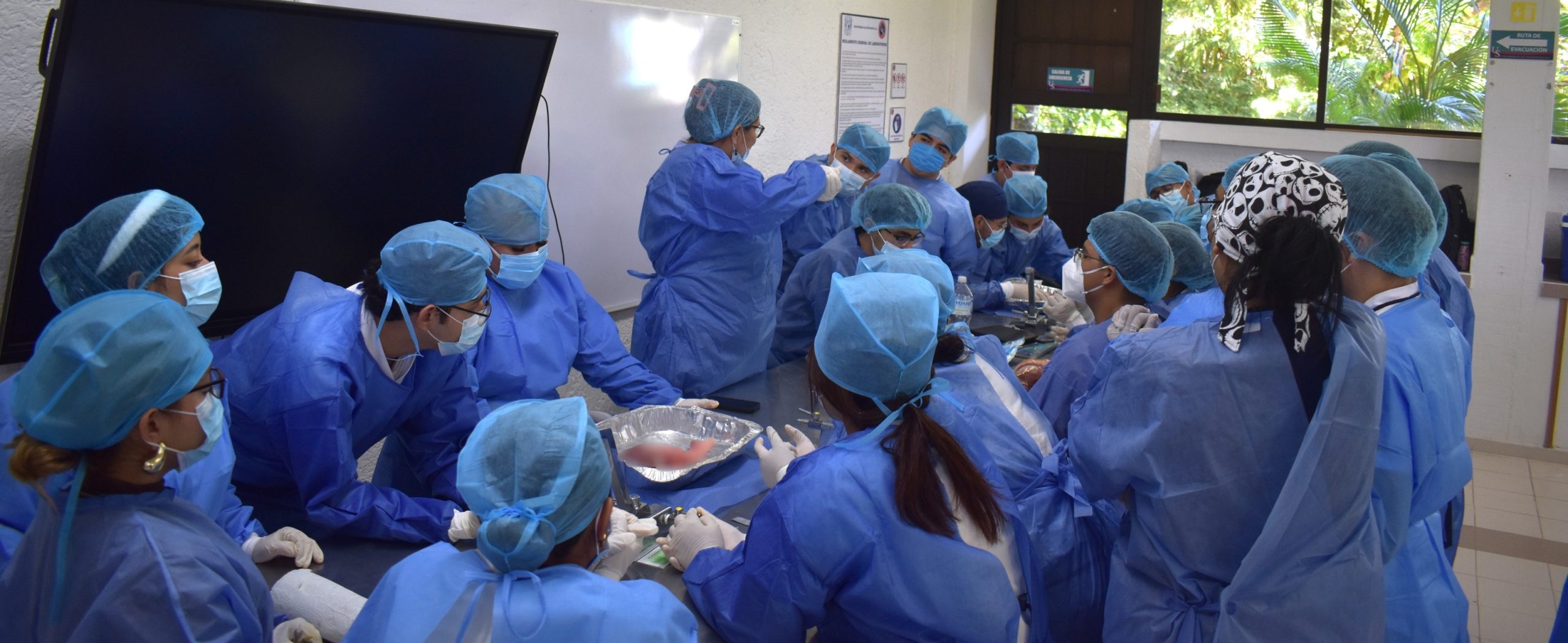 577017561_1242489237915482_6450661676613268263_n